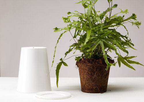 kleiner Blumentopf zum Hängen, Sky Planter Selbstbewässernd, weiß