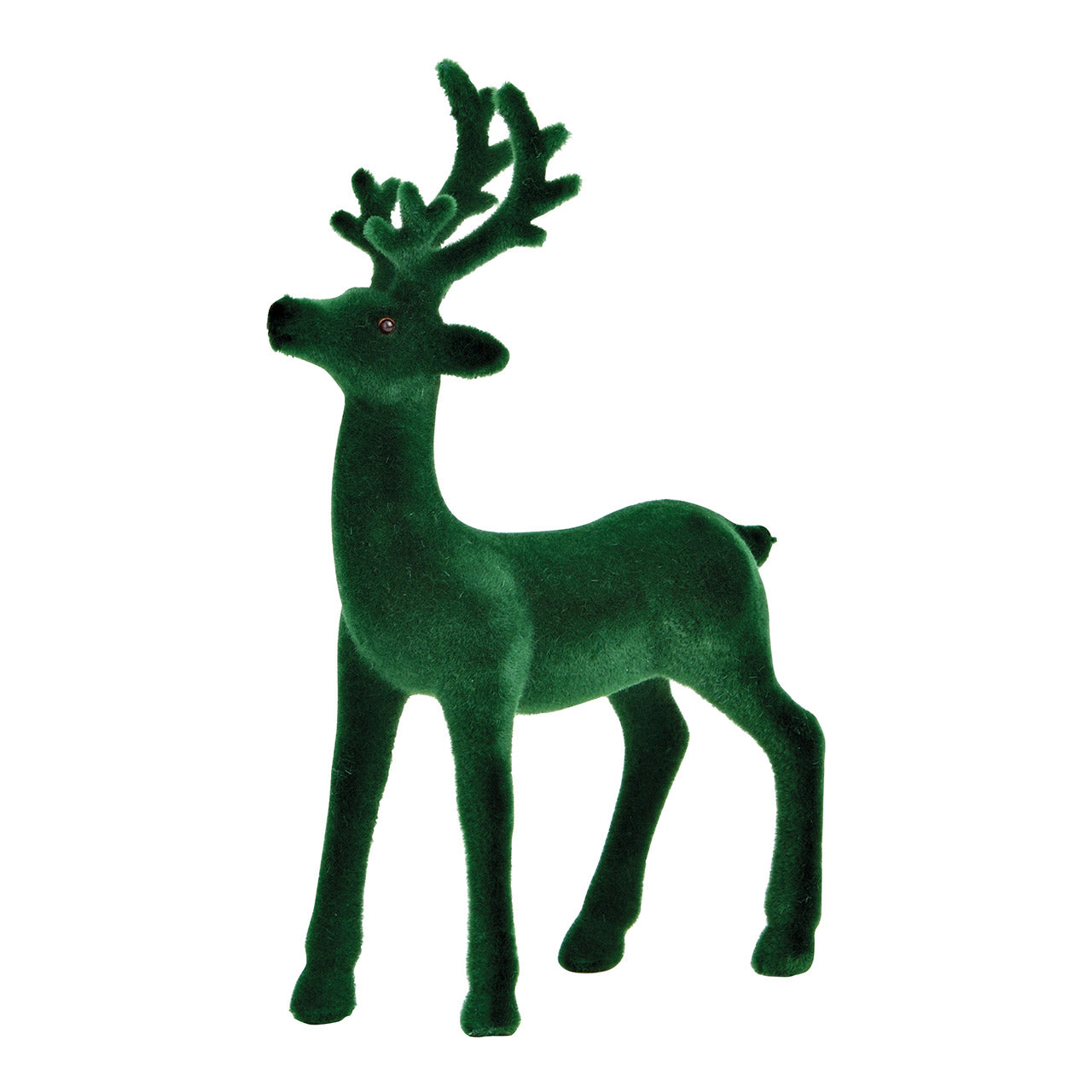 Stehender Hirsch in Tannengrün