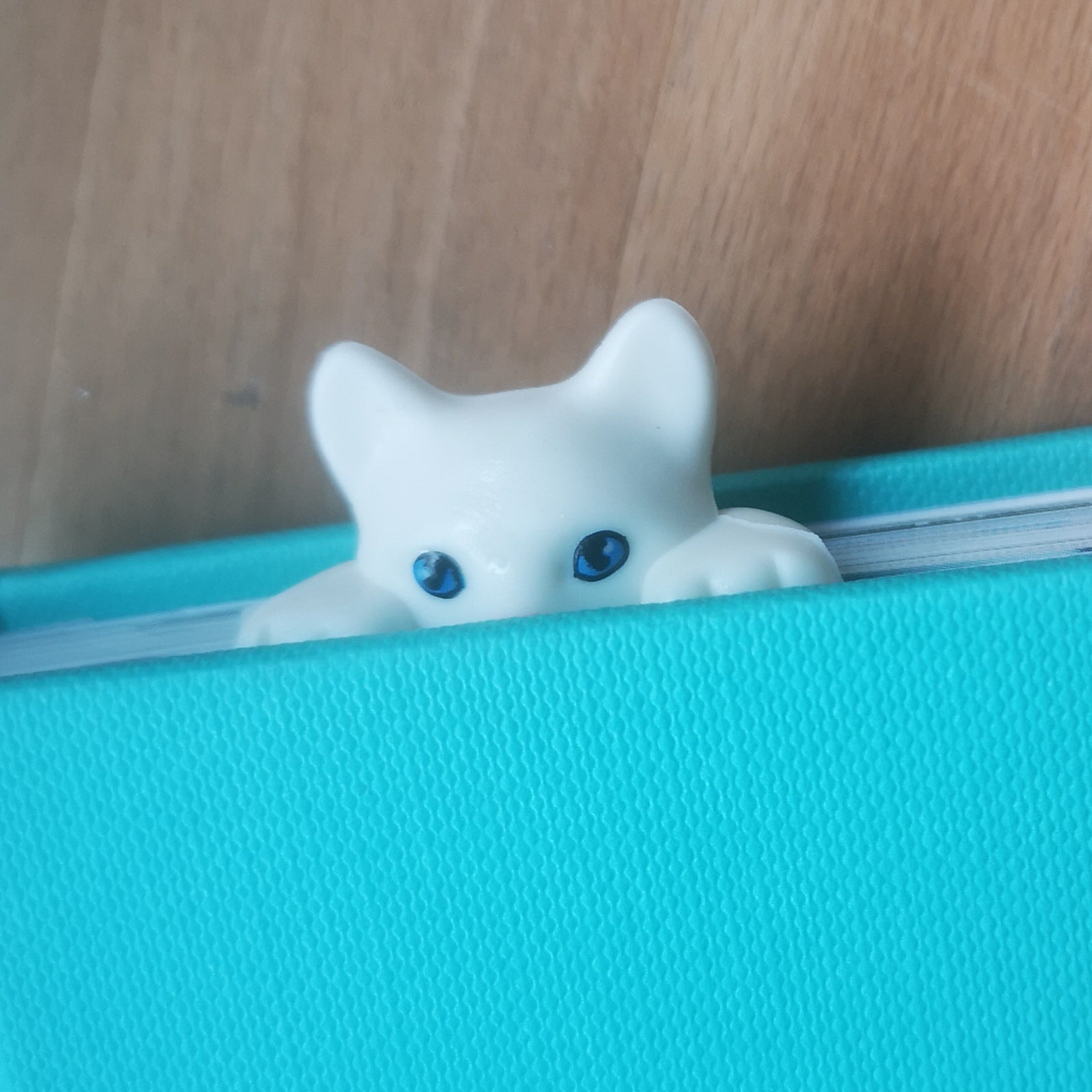 Lesezeichen weiße Katze von Helio Ferretti